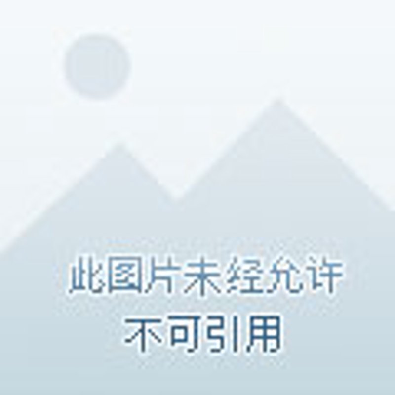 物业安保：城市守护者的隐形堡垒